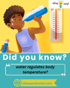 Did you know water regulates body temperature?
