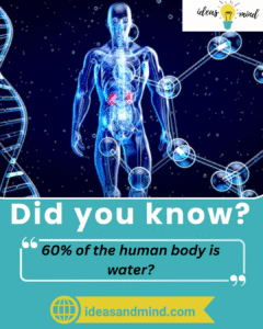 Did you know 60% of the human boday is water