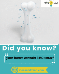 Did you know your bones contain 31% water?

