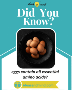 did you know eggs contain all essential amino acids