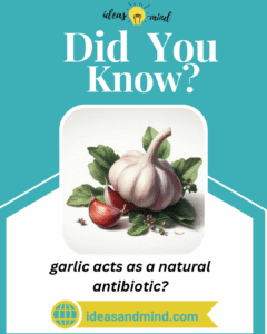 Did you know garlic acts as a natural antibiotic