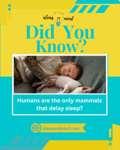 Did You Know humans are the only mammals that delay sleep