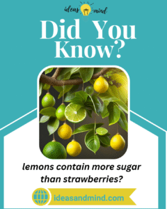 did you know lemons contain more sugar than strawberries