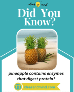 Did you know pineapple contains enzymes that digest protein
