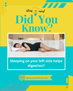 Did You Know sleeping on your left side helps digestion