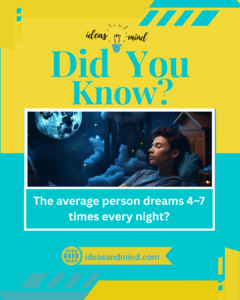 did you know the average person dreams 4–7 times every night