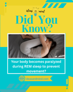 Did you know your body becomes paralyzed during REM sleep to prevent movement_people also dream but with more sounds and emotions