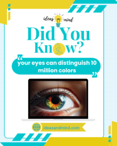 Did You Know your eyes can distinguish 10 million colors