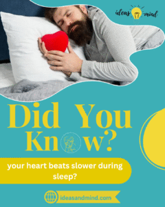 Did you know your heart beats slower during sleep