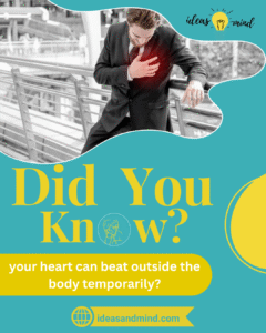 Did you know your heart can beat outside the body temporarily
