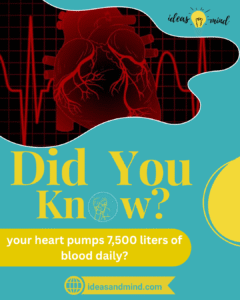 Did you know your heart pumps 7,500 liters of blood daily