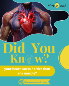 Did you know your heart works harder than any muscle