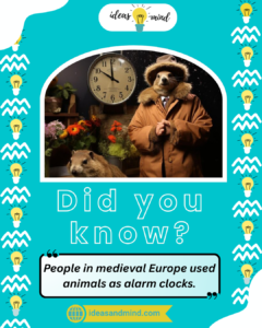 Did You Know People in medieval Europe used animals as alarm clocks