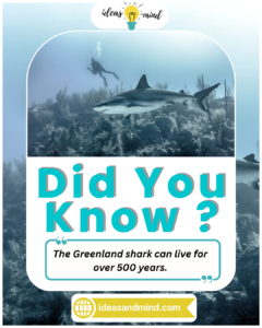 Did You Know The Greenland shark can live for over 500 years