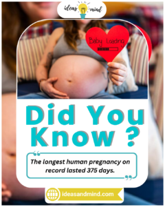 Did You Know The longest human pregnancy on record lasted 375 days