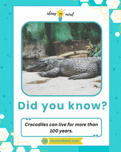 Did you know Crocodiles can live for more than 100 years