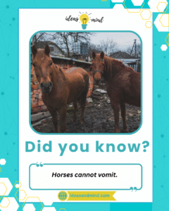 Did you know Horses cannot vomit