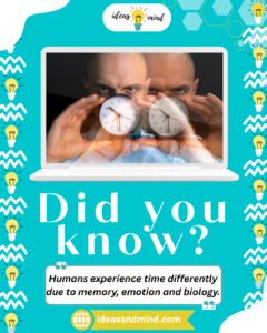 Did you know Humans experience time differently due to memory, emotion and biology