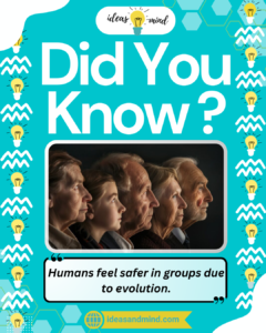 Did you know Humans feel safer in groups due to evolution