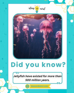 Did you know Jellyfish have existed for more than 500 million years