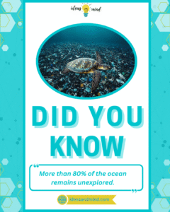 Did you know More than 80% of the ocean remains unexplored