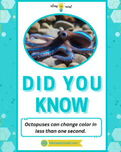 Did you know Octopuses can change color in less than one second