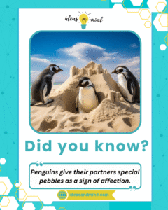 Did you know Penguins give their partners special pebbles as a sign of affection