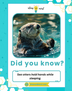 Did you know Sea otters hold hands while sleeping