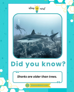 Did you know Sharks are older than trees