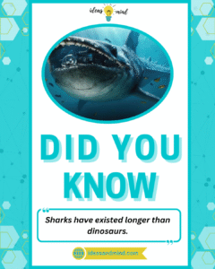 Did you know Sharks have existed longer than dinosaurs