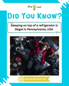 Did you know Sleeping on top of a refrigerator is illegal in Pennsylvania, USA