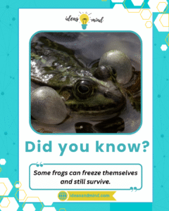 Did you know Some frogs can freeze themselves and still survive
