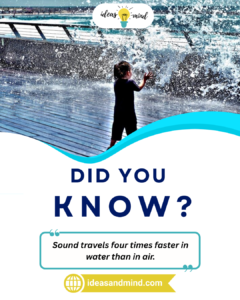 Did you know Sound travels four times faster in water than in air