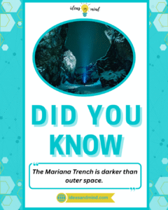 Did you know The Mariana Trench is darker than outer space
