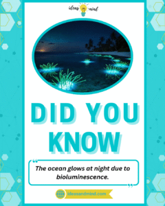 Did you know The ocean glows at night due to bioluminescence