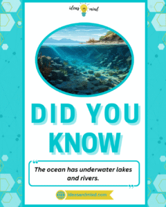 Did you know The ocean has underwater lakes and rivers