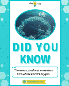 Did you know The ocean produces more than 50% of the Earth's oxygen