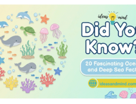 Ocean and Deep Sea Facts