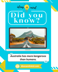 Did you Know Australia has more kangaroos than humans