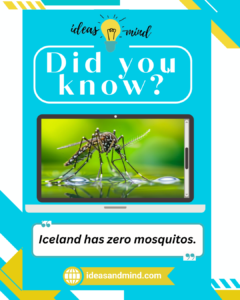 Did you Know Iceland has zero mosquitos.you Know Japan has vending machines for almost everything
