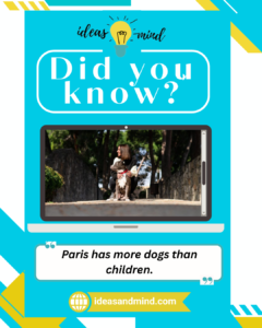 Did you Know Paris has more dogs than children