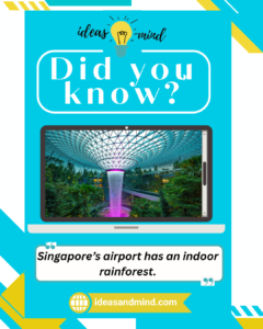Did you Know Singapore’s airport has an indoor rainforest